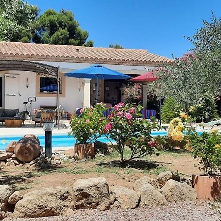לינה וארוחת בוקר סנט-מרטין-דה-קרו Fenetre Sur Les Alpilles מראה חיצוני תמונה