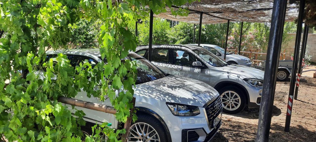 לינה וארוחת בוקר סנט-מרטין-דה-קרו Fenetre Sur Les Alpilles מראה חיצוני תמונה